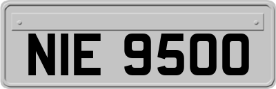 NIE9500