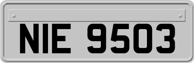 NIE9503