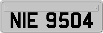 NIE9504