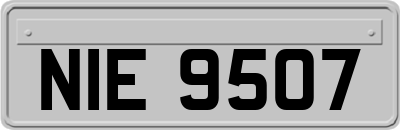 NIE9507