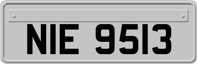 NIE9513
