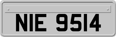 NIE9514