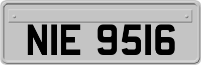 NIE9516