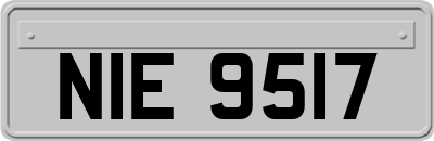 NIE9517