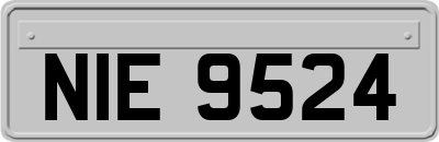NIE9524