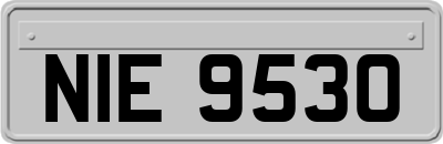 NIE9530