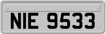NIE9533