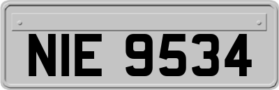 NIE9534