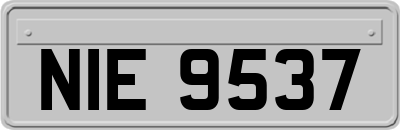 NIE9537