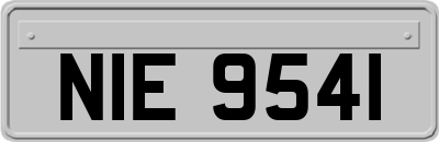 NIE9541