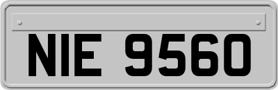 NIE9560