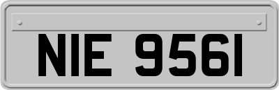 NIE9561