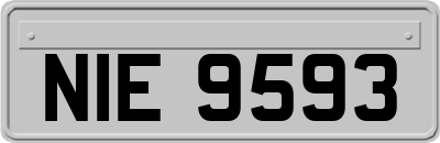 NIE9593