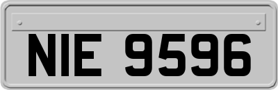NIE9596