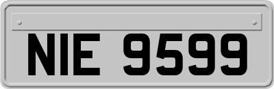 NIE9599