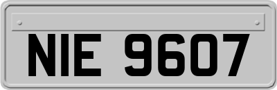 NIE9607