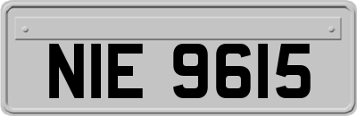 NIE9615