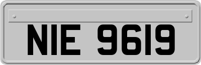 NIE9619