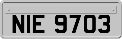 NIE9703