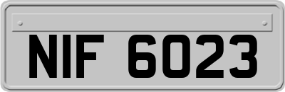 NIF6023