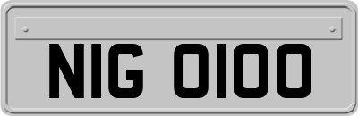 NIG0100