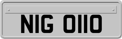 NIG0110