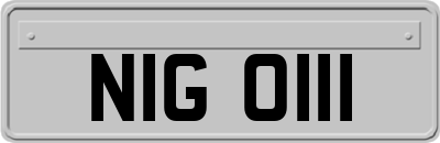 NIG0111