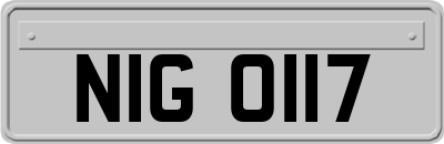 NIG0117