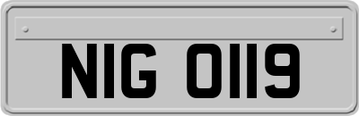 NIG0119