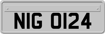 NIG0124