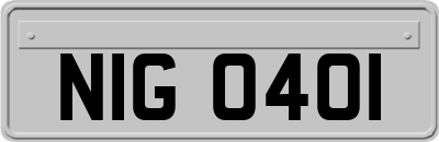 NIG0401