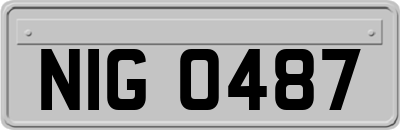 NIG0487