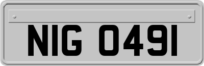 NIG0491