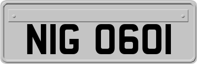 NIG0601