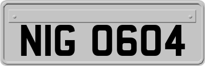 NIG0604
