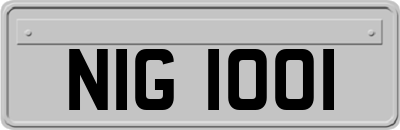 NIG1001
