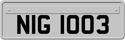 NIG1003