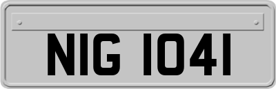 NIG1041