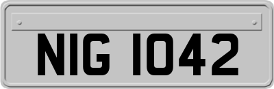 NIG1042