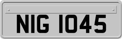 NIG1045
