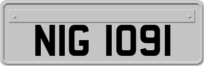 NIG1091