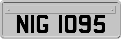 NIG1095