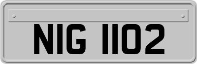 NIG1102