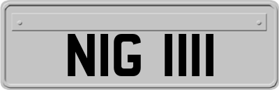 NIG1111