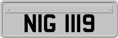 NIG1119