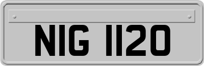 NIG1120