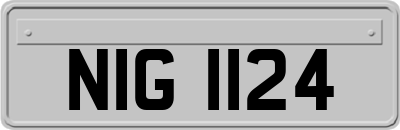 NIG1124