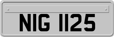 NIG1125