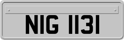 NIG1131