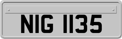 NIG1135